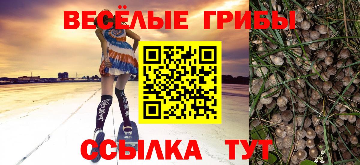 Михайловск  Псилоцибиновые грибы GOLDEN TEACHER  Вход с VPN  Галлюциногенные грибы ЛСД 