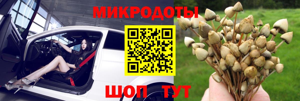 Галлюциногенные грибы GOLDEN TEACHER Михайловск